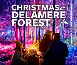 The after-dark illuminated trail sparkles in a festive Delamere Forest with new installations for 2022.Your very merriest Christmas starts here. Limited capacity with timed entry. Plan now to secure the date and time of your choice.