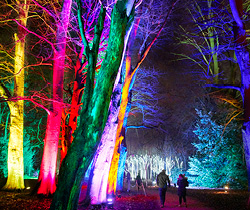Our brand-new illuminated trail, Christmas at Westonbirt, launches this festive season Get ready for a brand-new festive experience at Westonbirt, The National Arboretum this Christmas. We’ve teamed up with the award-winning, internationally acclaimed light trail producers behind Christmas at Kew, Christmas at Bedgebury and Christmas at Blenheim to bring you a light trail never-before-seen at Westonbirt.   Explore trees from all over the globe in a completely new light. The National Arboretum is a place where new memories are made when over a million twinkling lights and seasonal sounds fill the air with festive fun.  Our new trail has everything you need for an unforgettable time with your friends and family, including a magical glimpse of Father Christmas. Discover luminous birds delicately balanced on branches, colourful neon trees, sparkling tunnels of light and the arboretum filled with all the colours of the rainbow.   